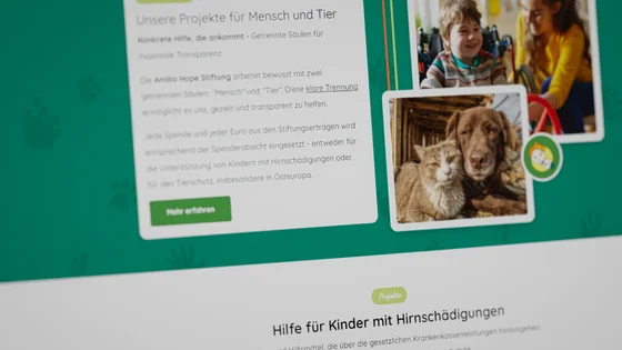 Amilia-Hope-Stiftung – Startseiten-Mockup der Stiftungswebsite